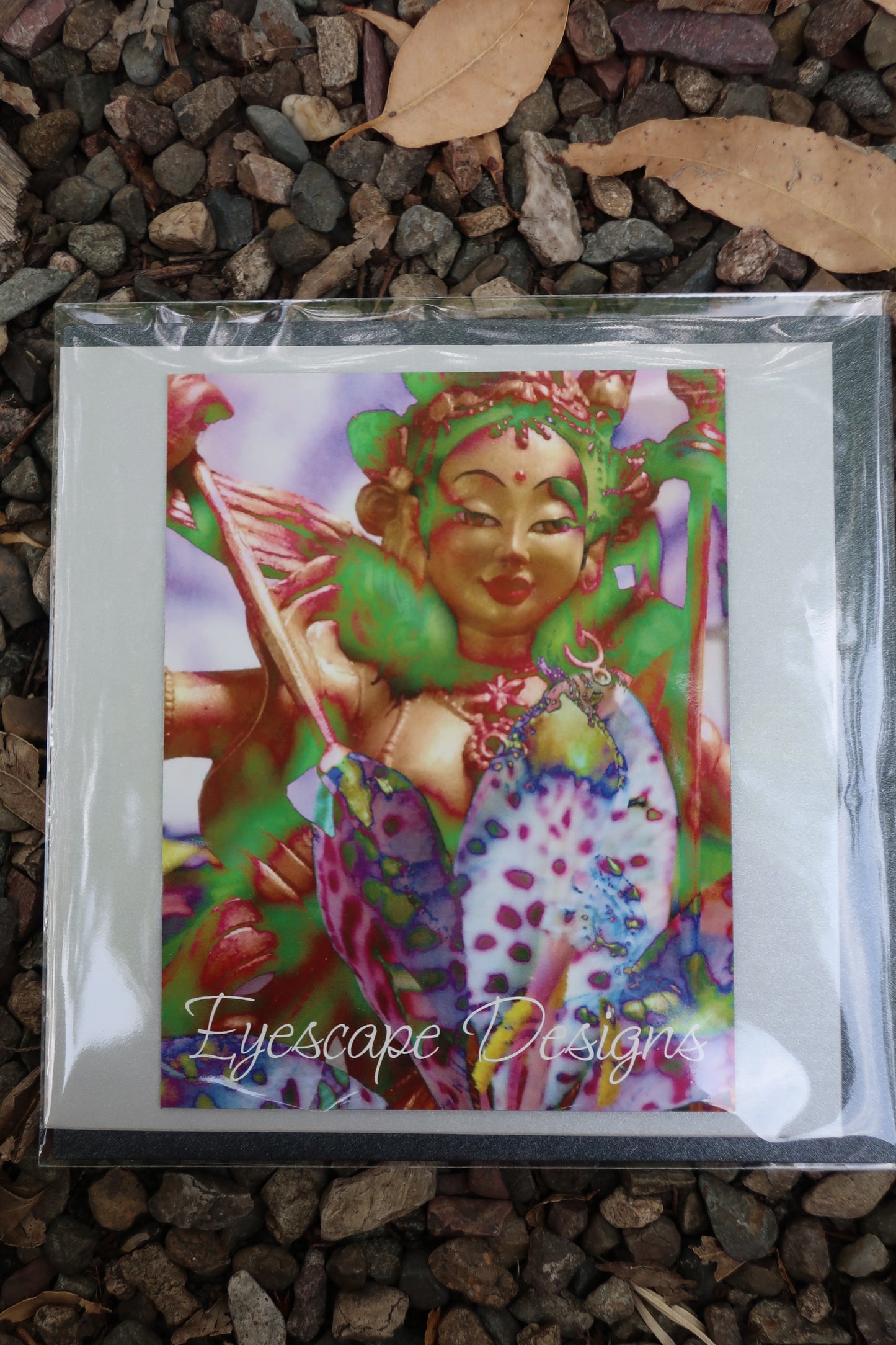 Mandarava magnet front large gift card, blank w/envelope