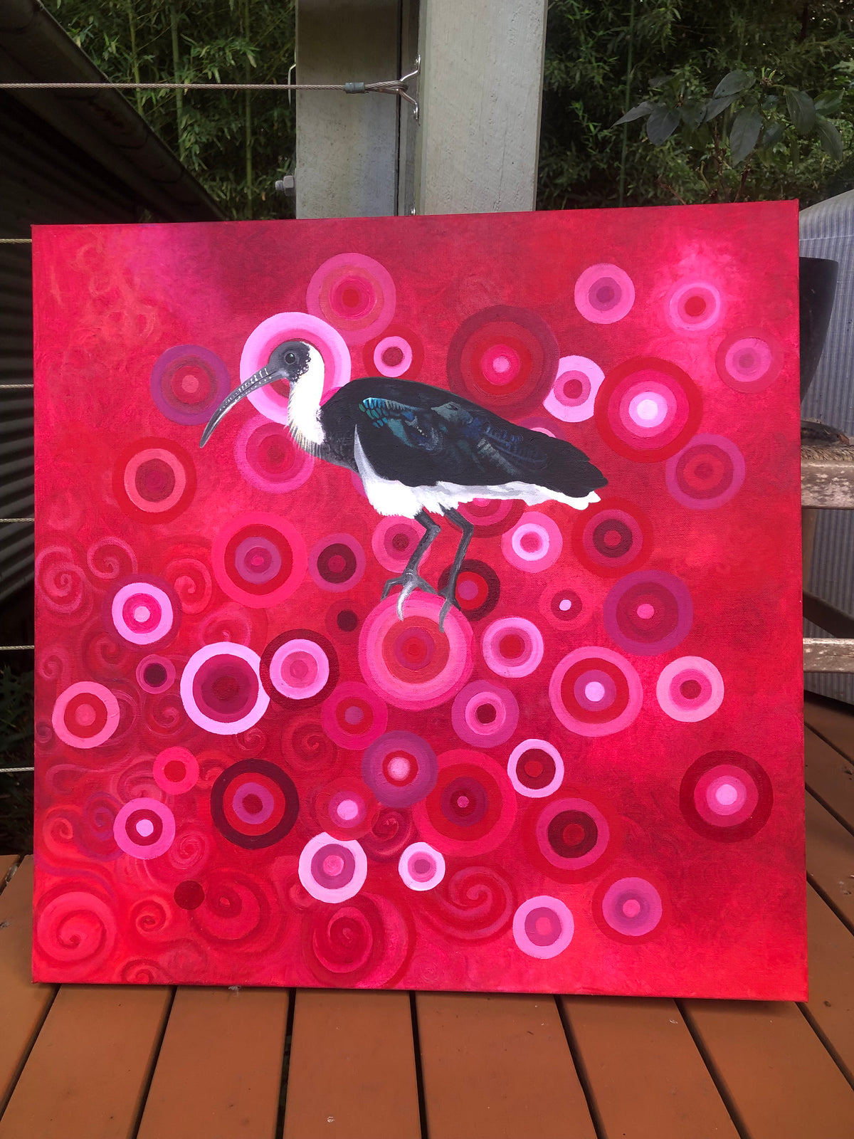Red oil painting featuring a straw necked Ibis floating in a sea of circles sitting on outdoor verandah for true colour