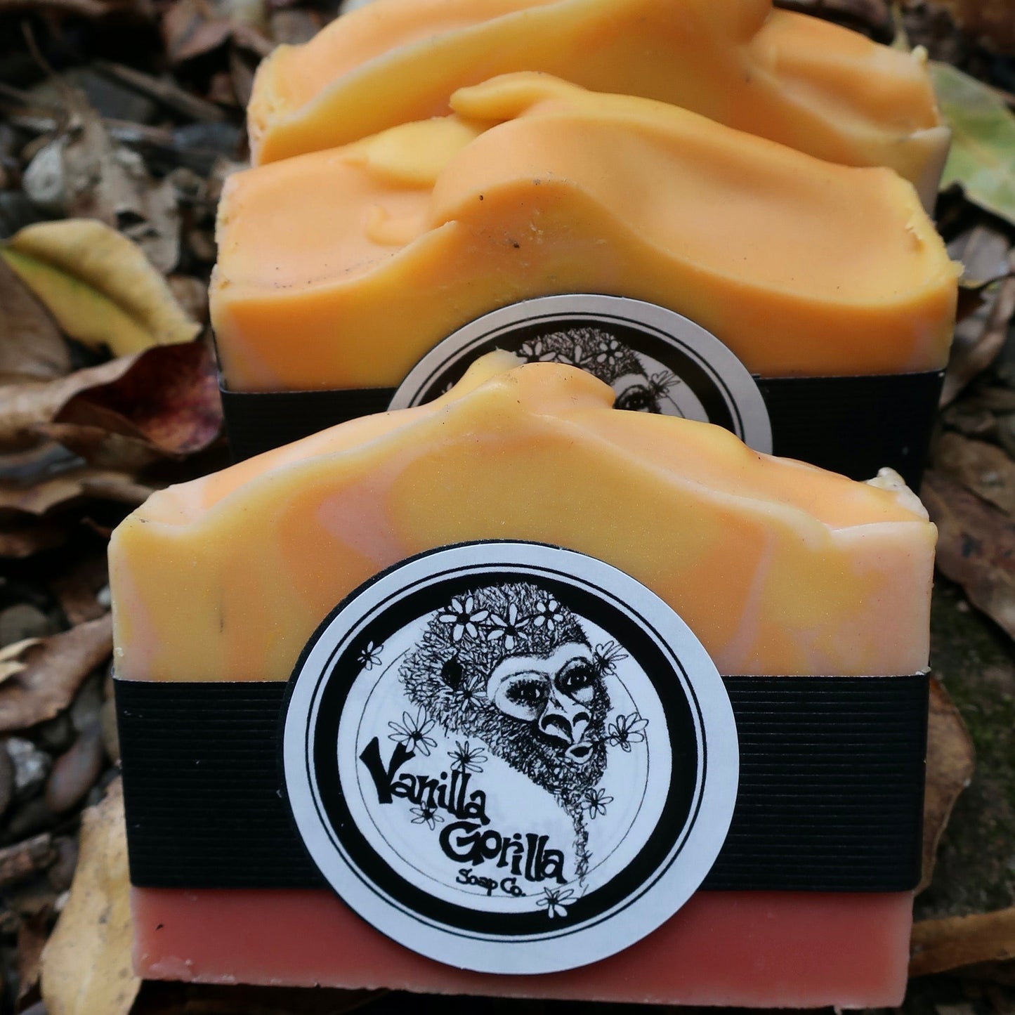 Two soap bars with a visible brand label on a natural background