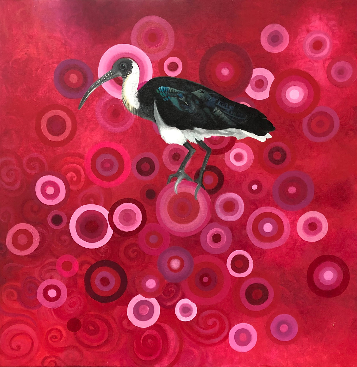 Straw necked ibis Bird on a sea of red and pink circular patterned background oil painting on canvas